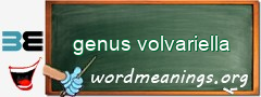 WordMeaning blackboard for genus volvariella
